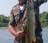 Bobi-delta (2)