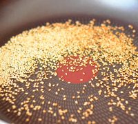 pui-teriyaki (3)