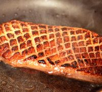 piept-de-rata
