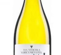 sarica-niculitel-caii-de-la-letea-chardonnay