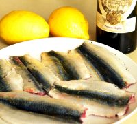 .sardine