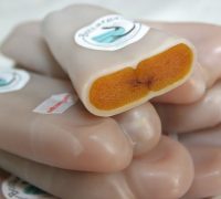 bottarga-in-ceara