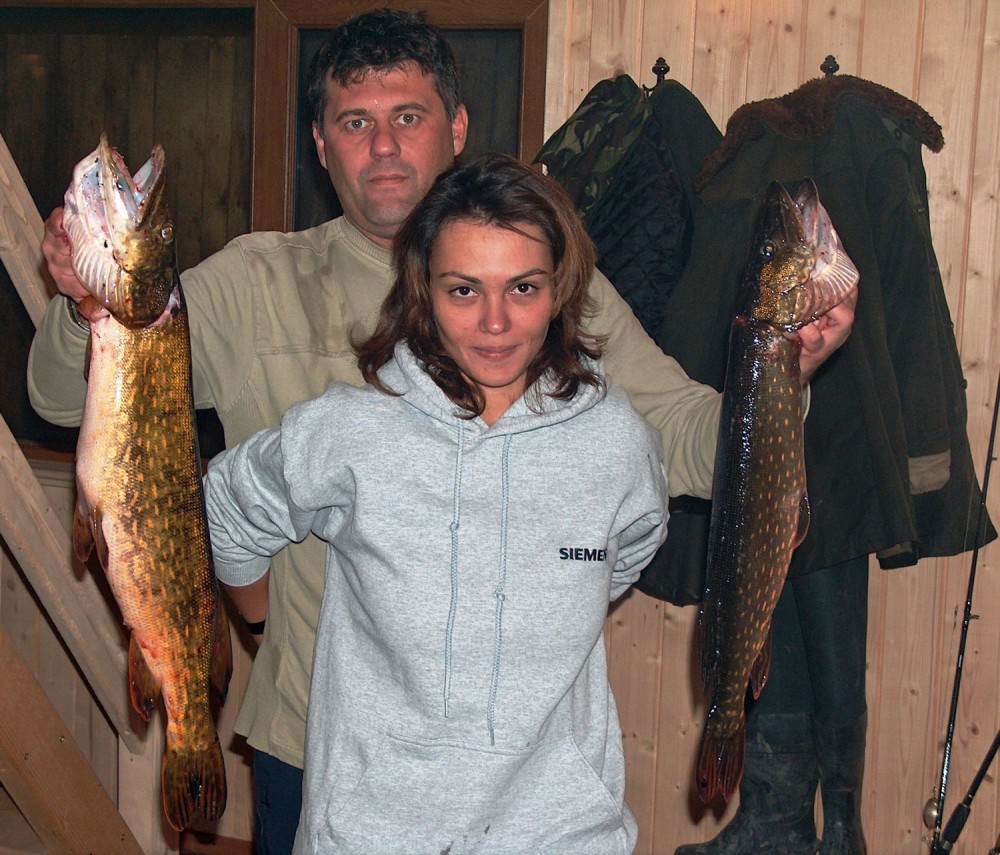 stiuci-in-delta
